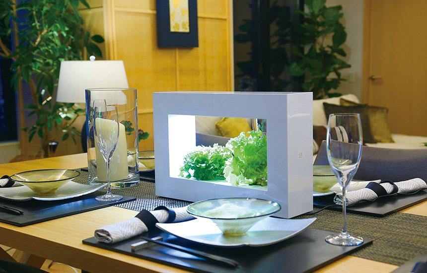 グリーンインテリア | おしゃれなインテリア照明店 MotoM ONLINE STORE