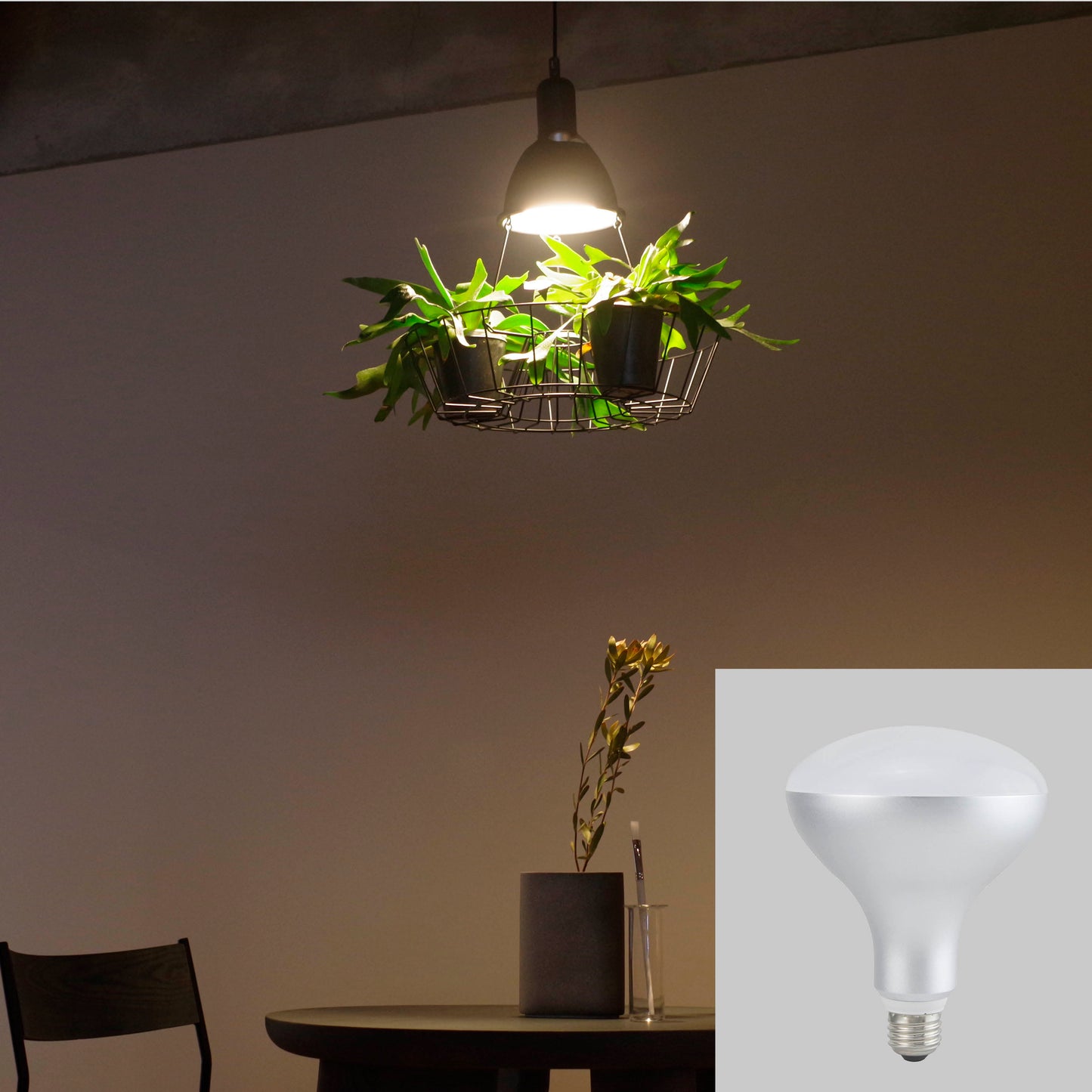 LED レフランプ形電球  GLMP017L