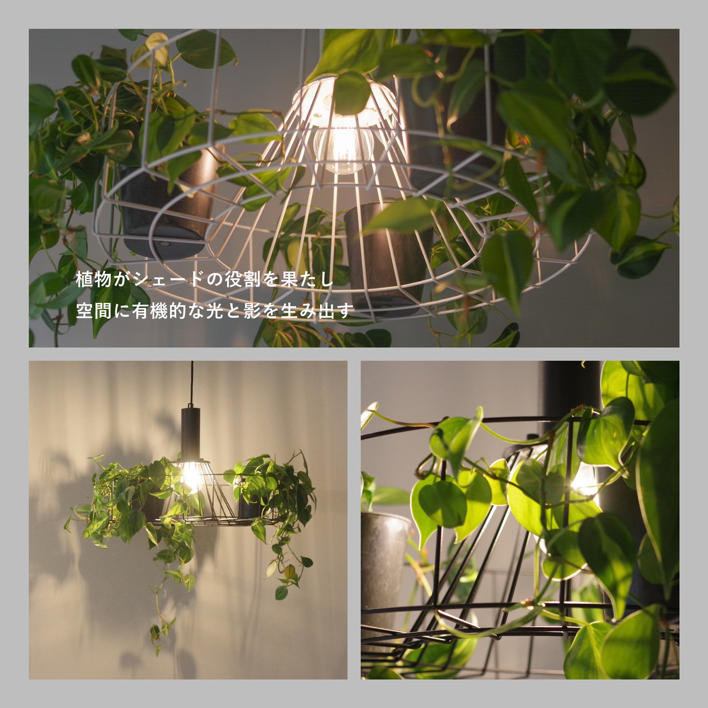 【受注後9営業日出荷】グリーンペンダントライト 引掛シーリング  MPN070B 黒  MPN070W 白【ペンダントライト】