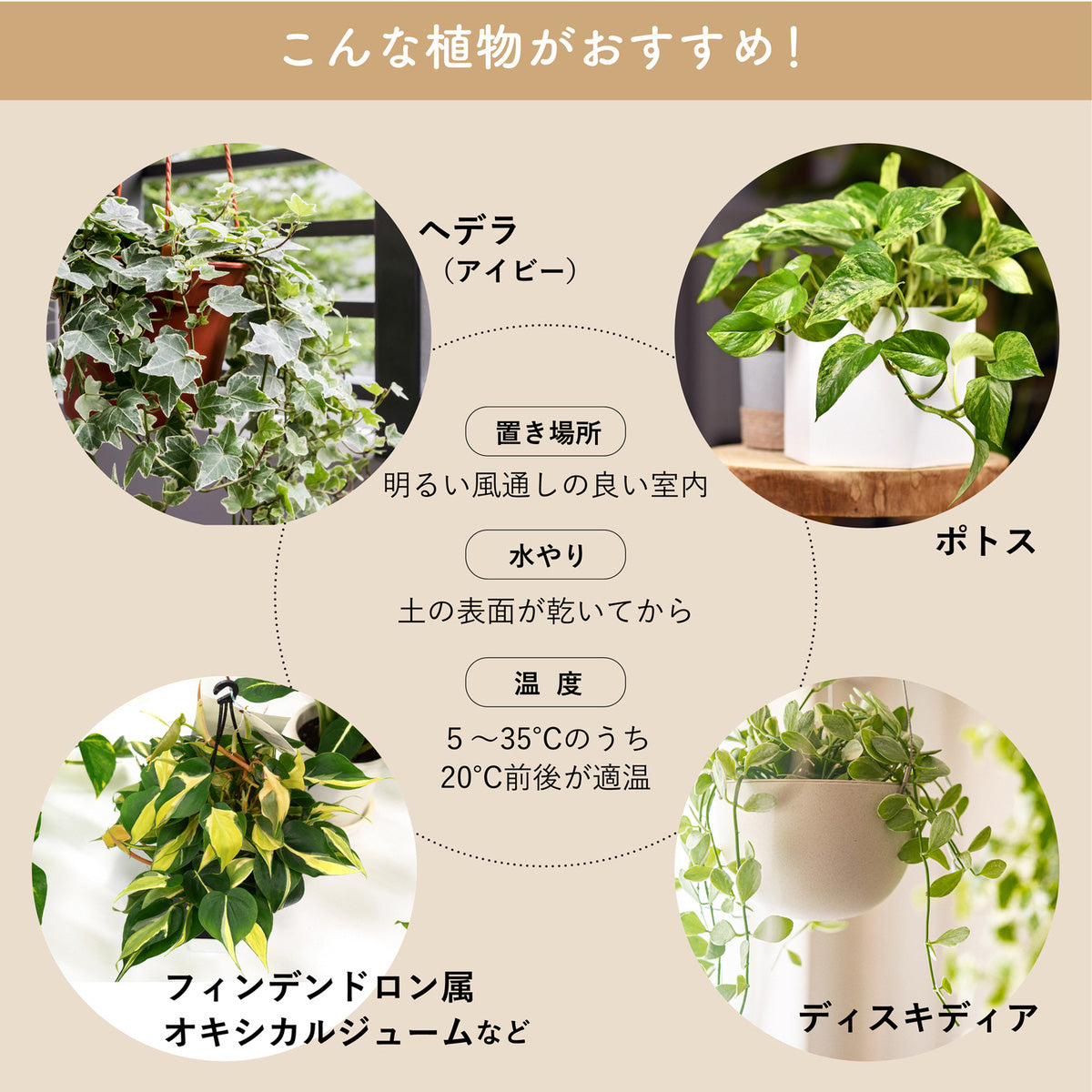 【受注後9営業日出荷】グリーンペンダントライト 引掛シーリング  MPN070B 黒  MPN070W 白【ペンダントライト】
