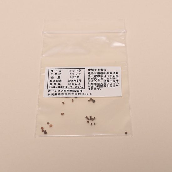 ルッコラの種子 スポンジ・液体肥料付き MAS08｜水耕栽培用種子セット