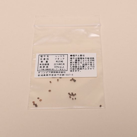 ルッコラの種子 スポンジ・液体肥料付き MAS08【梱包60サイズ】