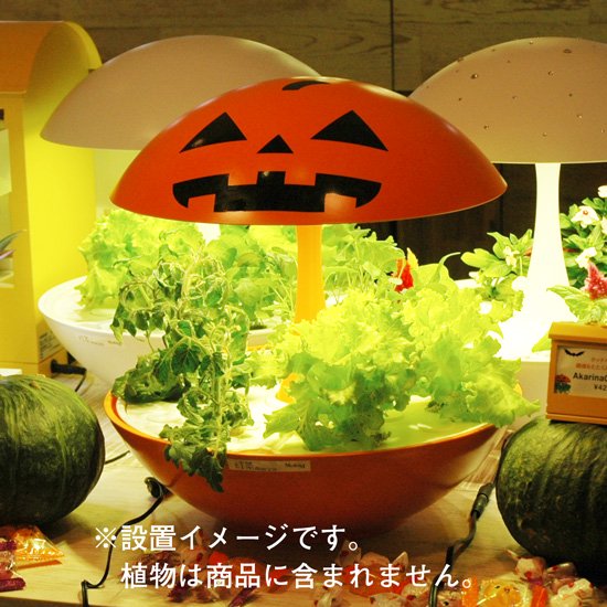 MotoM LED水耕栽培器「灯菜（アカリーナ）Akarina01 RN」 元箱 Akarina01 ハロウィンVer OMA01RN-HRW | 灯菜 LED水耕栽培器｜照明