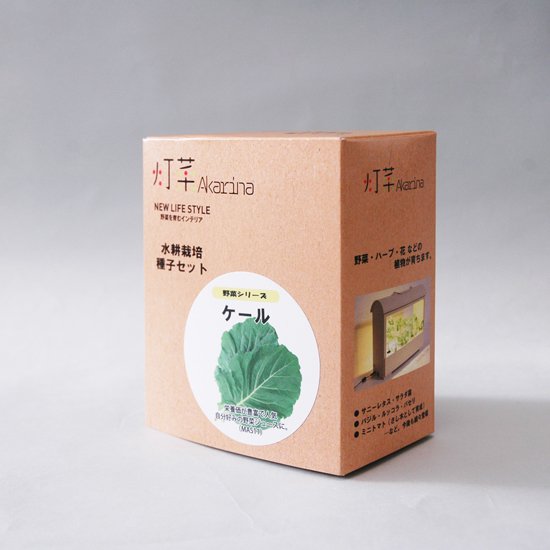 ケールの種子 スポンジ・液体肥料付き MAS11【梱包60サイズ】