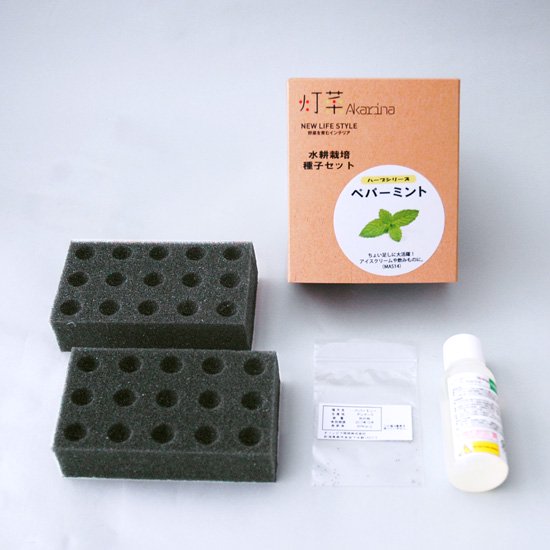 ペパーミントの種子／スポンジ・液体肥料【梱包60サイズ】