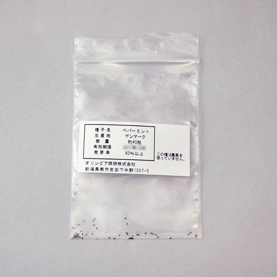 ペパーミントの種子／スポンジ・液体肥料【梱包60サイズ】