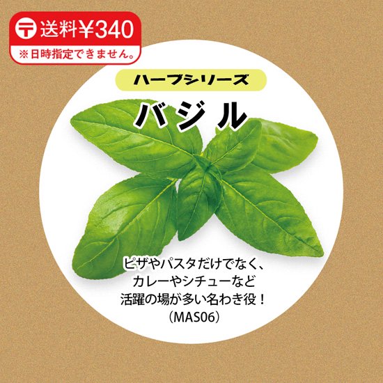バジルの種子 スポンジ・液体肥料付き MAS06【梱包60サイズ】