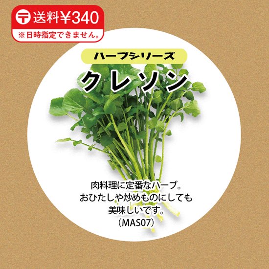 クレソンの種子 スポンジ・液体肥料付き MAS07【梱包60サイズ】