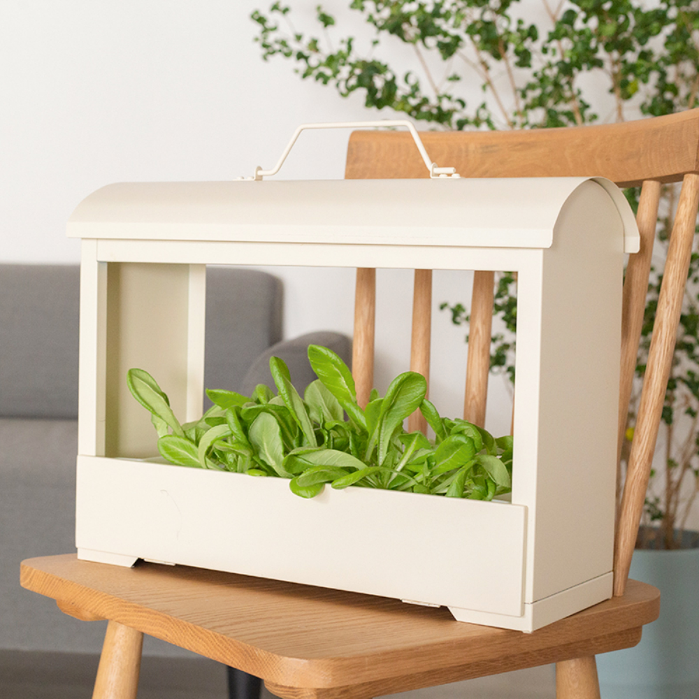 家庭用水耕栽培器 灯菜 Akarina Akarina05 OMA05 | 灯菜 LED水耕栽培器 | おしゃれなインテリア