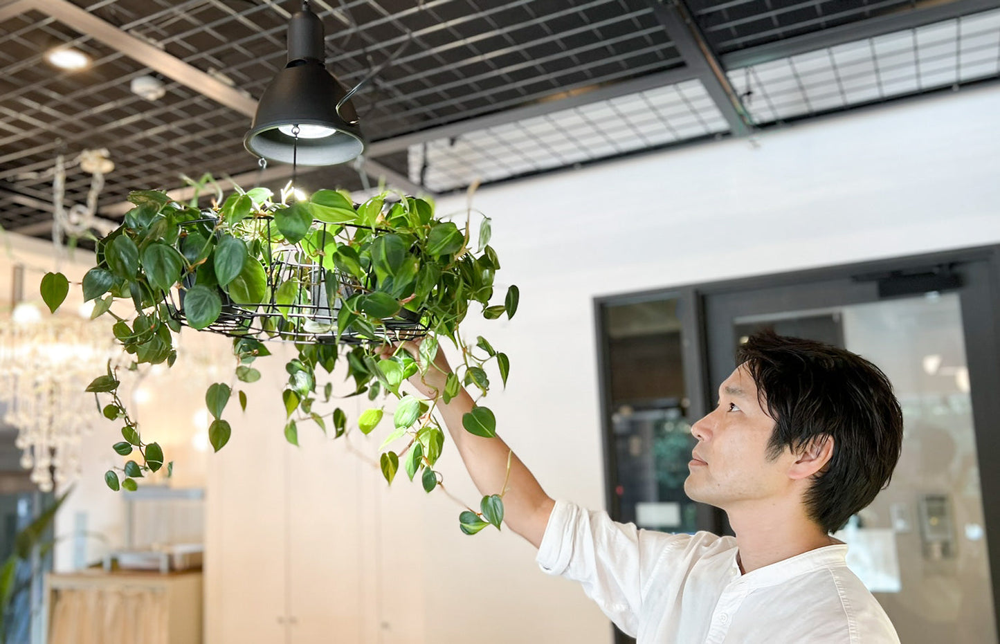 『GREEN LIGHTING』<br>プレスリリース