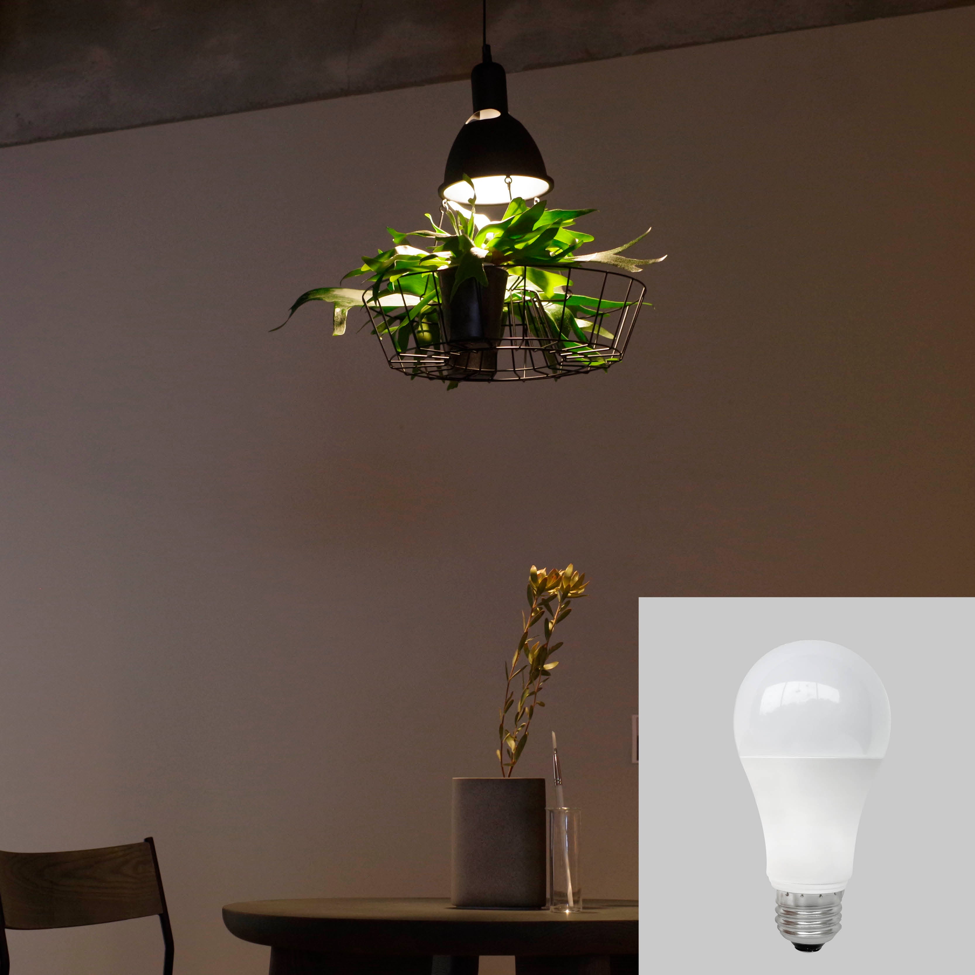 グリーンペンダントライト 引掛シーリング MPN069B | ペンダントライト