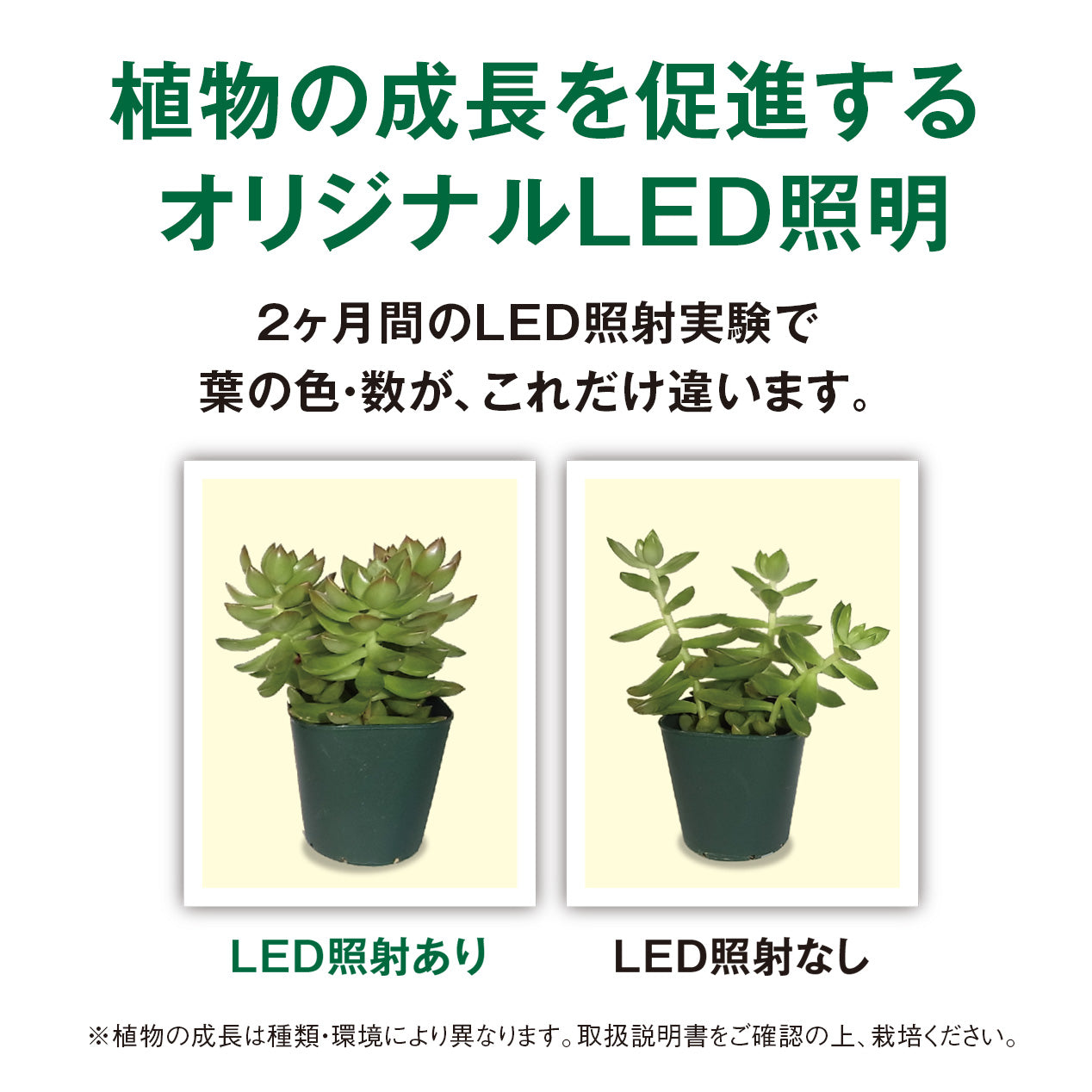 LED植物育成ライト(小) Akarina09 室内栽培 木製 MAI09【梱包80サイズ