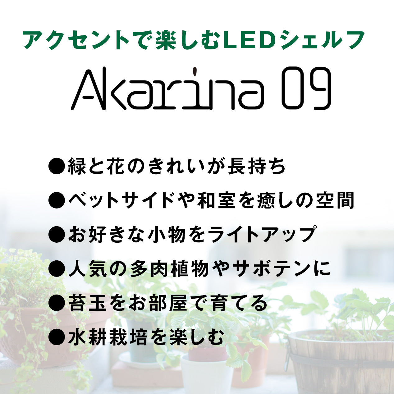 LED植物育成ライト(小) Akarina09 室内栽培 木製 MAI09【梱包80サイズ