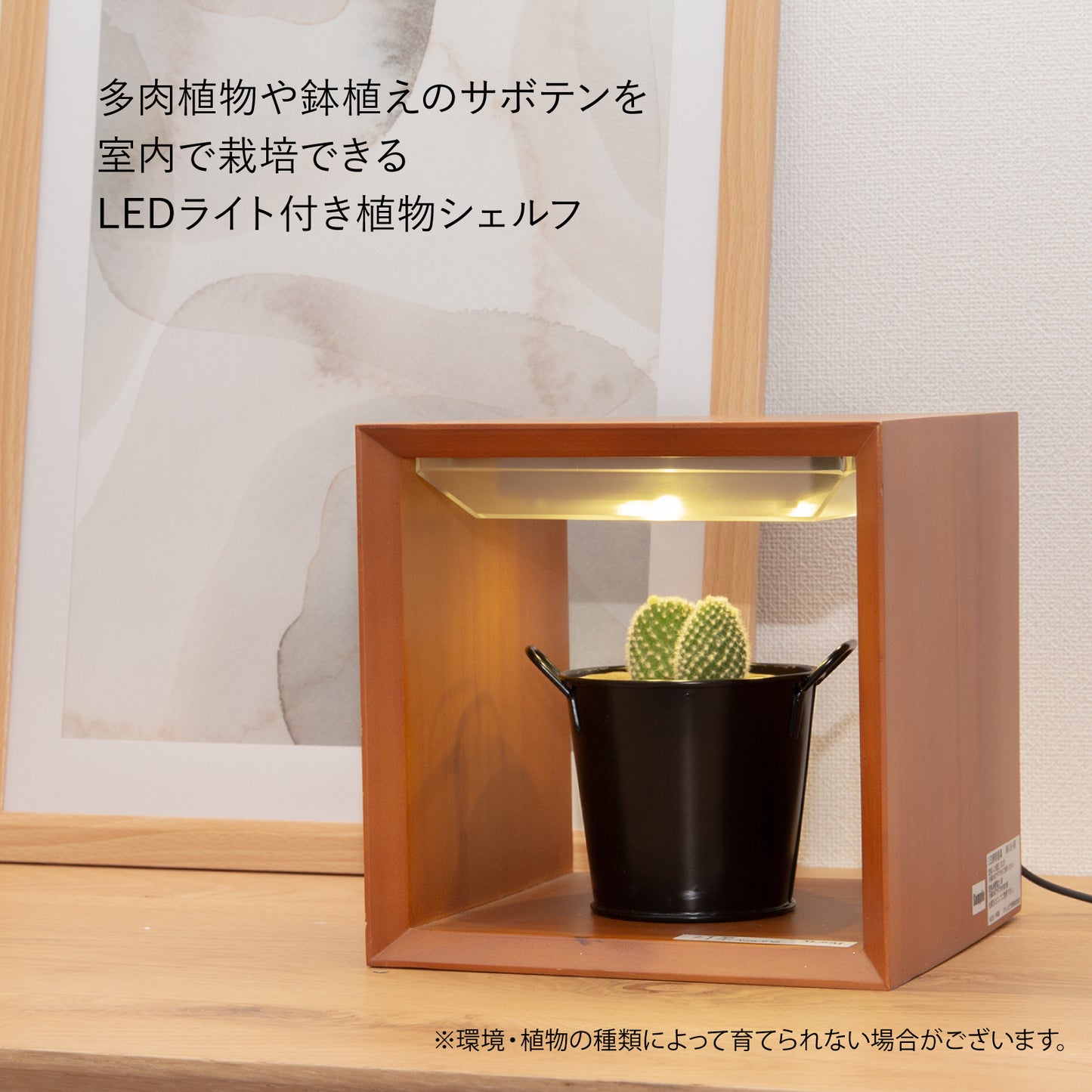 LED植物育成ライト(小) Akarina09 室内栽培  木製 MAI09【梱包80サイズ】