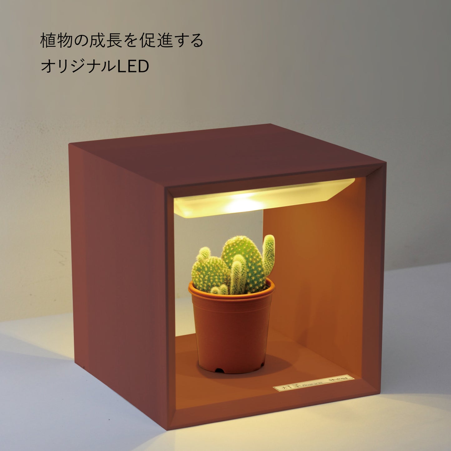LED植物育成ライト(小) Akarina09 室内栽培  木製 MAI09【梱包80サイズ】