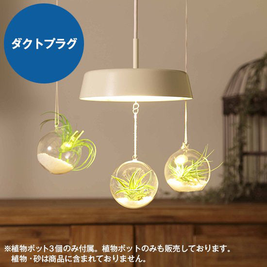 円盤ペンダントライト 引掛シーリング MPN01-IV ダクトプラグ(レール用 