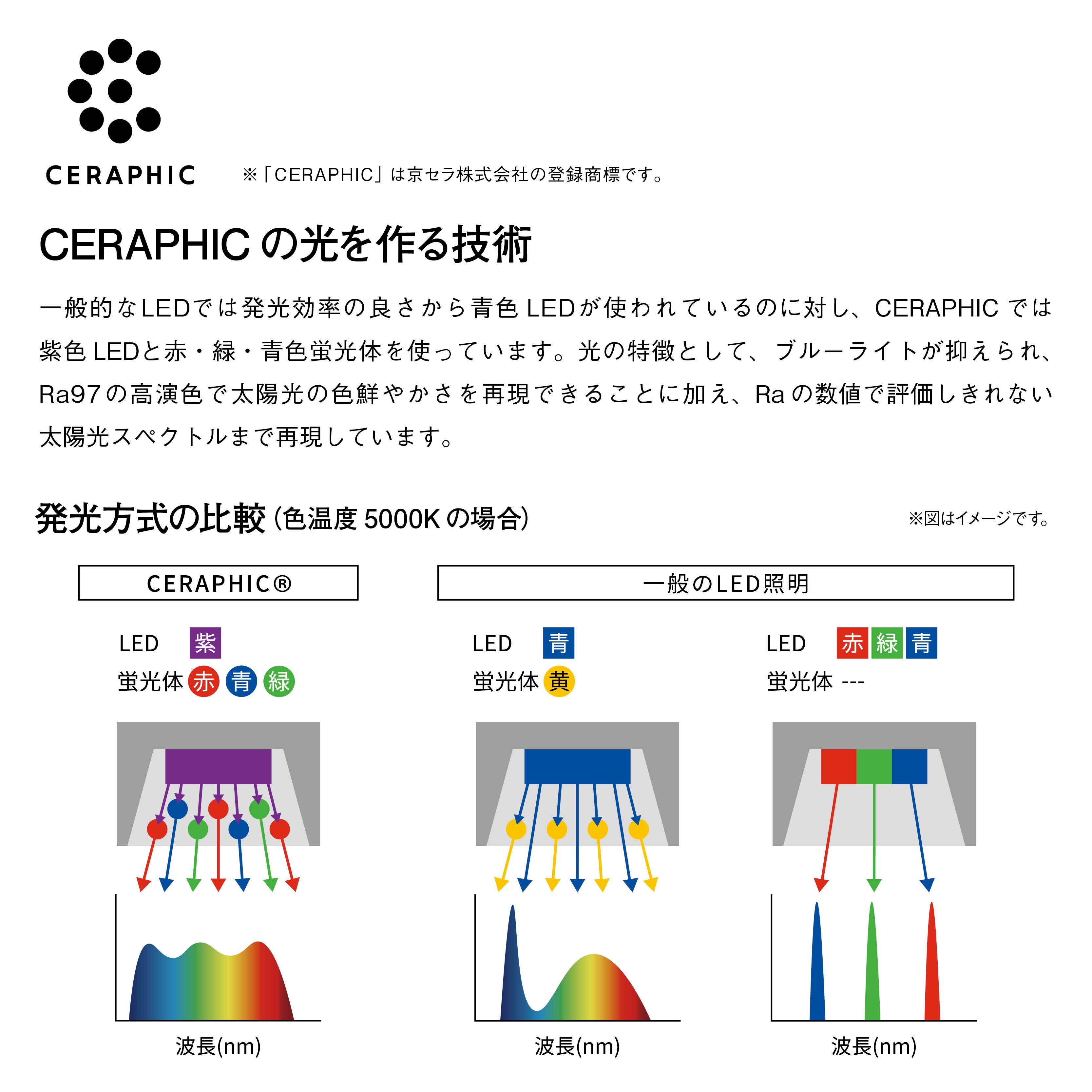 グリーンペンダントライト 引掛シーリング MPN069B | ペンダントライト