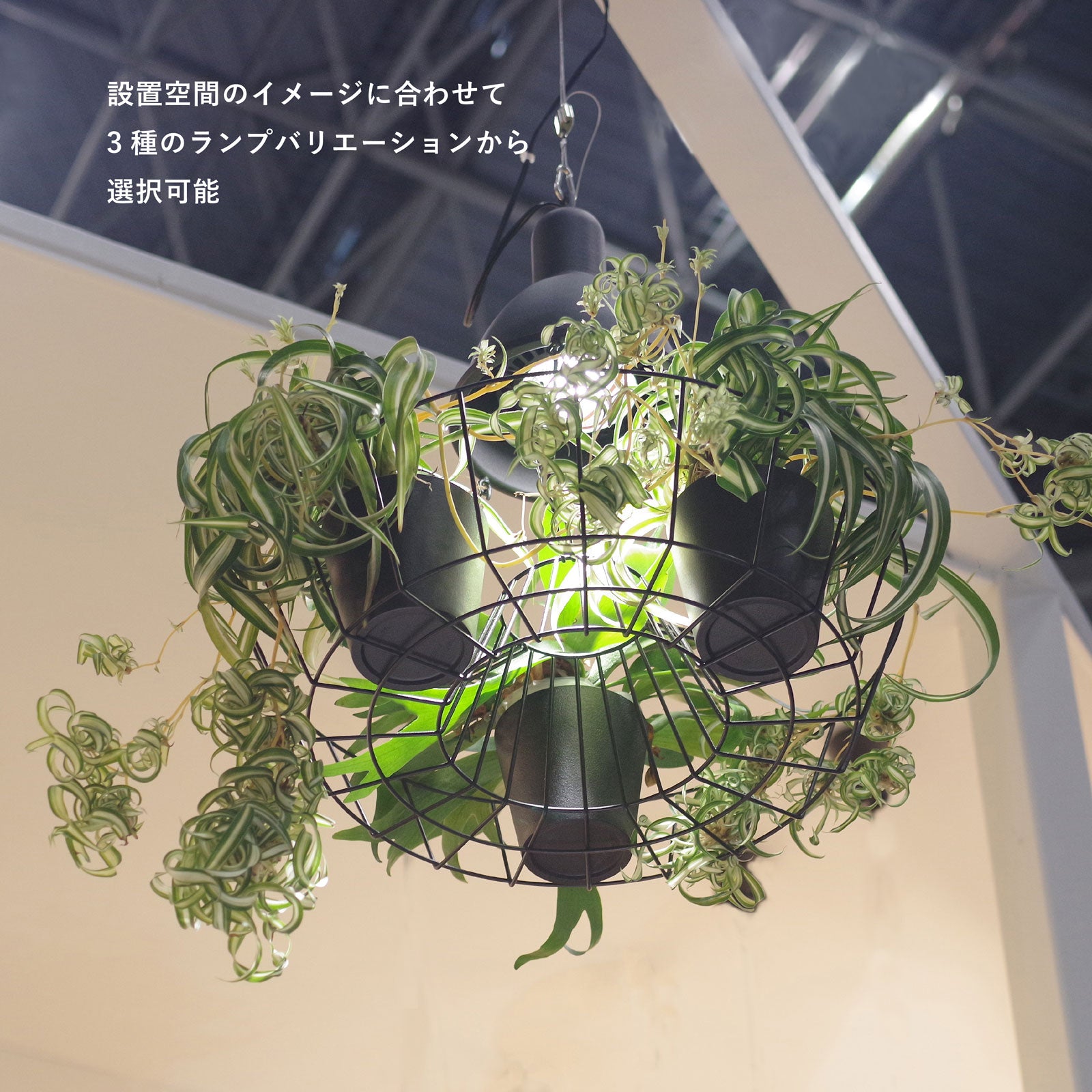 グリーンペンダントライト 引掛シーリング MPN069B | ペンダントライト