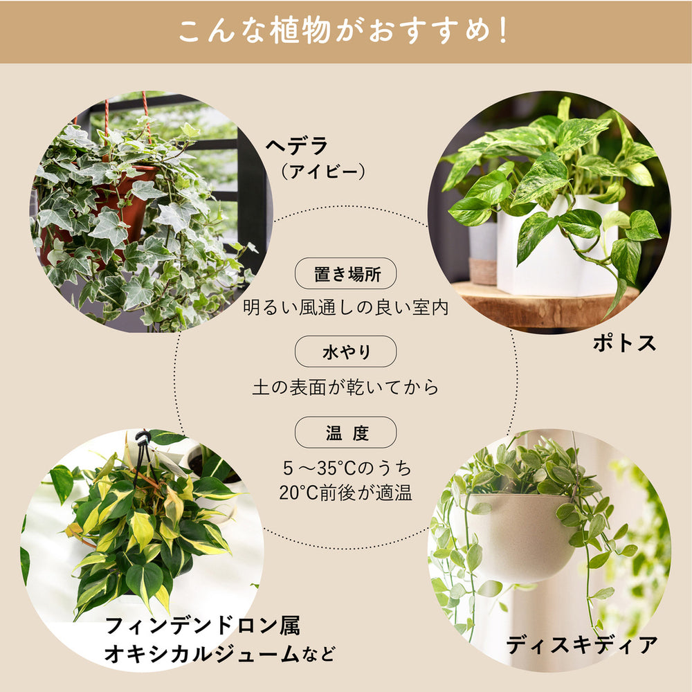 
                      
                        【受注後9営業日出荷】グリーンペンダントライト 引掛シーリング  MPN070B 黒  MPN070W 白
                      
                    