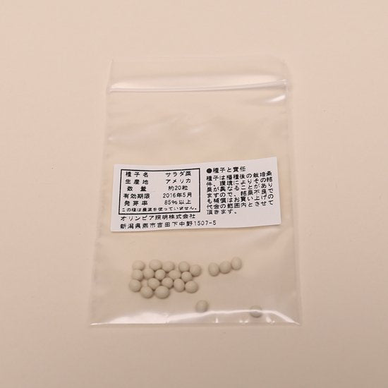 
                      
                        サラダ菜の種子 スポンジ・液体肥料付き MAS01【梱包60サイズ】
                      
                    