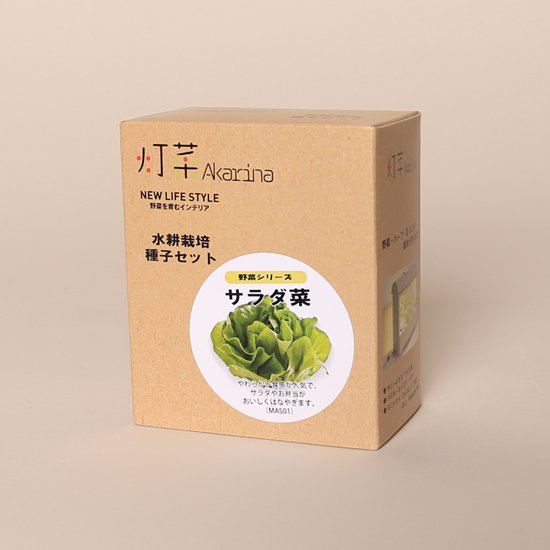 サラダ菜の種子 スポンジ・液体肥料付き MAS01【梱包60サイズ】
