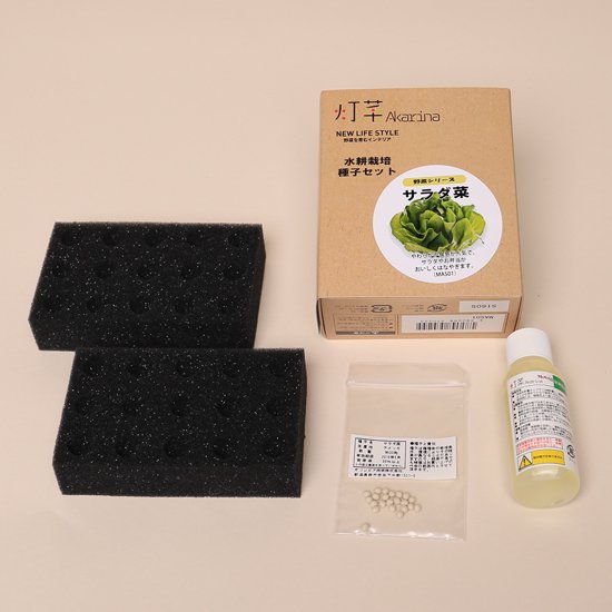 サラダ菜の種子 スポンジ・液体肥料付き MAS01【梱包60サイズ】
