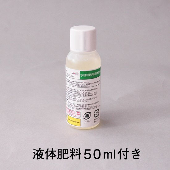 バジルの種子 スポンジ・液体肥料付き MAS06｜水耕栽培用種子セット