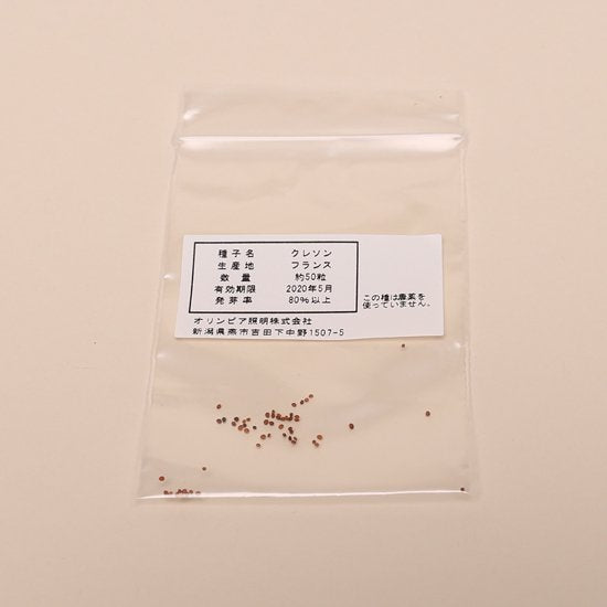 【定形外郵便】クレソンの種子 スポンジ・液体肥料付き MAS07