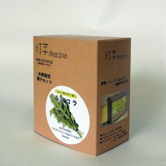 ルッコラの種子 スポンジ・液体肥料付き MAS08｜水耕栽培用種子セット