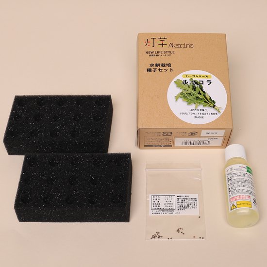 ルッコラの種子 スポンジ・液体肥料付き MAS08｜水耕栽培用種子セット
