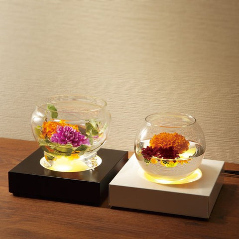 お花をライトアップして楽しむベース照明 MAI16-BK(WH)【梱包60サイズ】