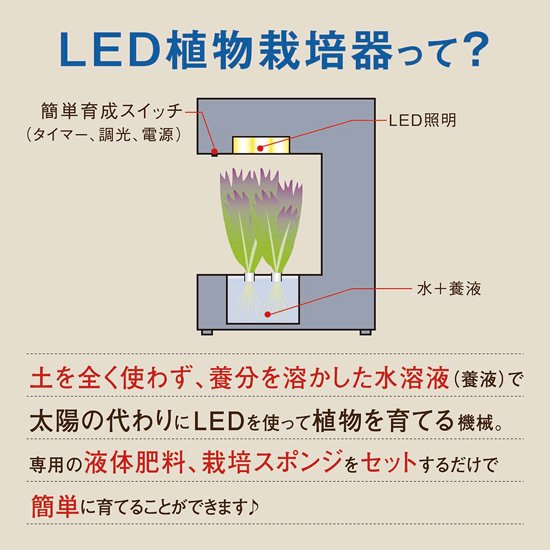 Akarina14 OMA14 | 灯菜 LED水耕栽培器 | おしゃれなインテリア照明店