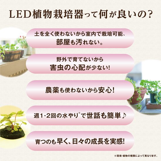 Akarina14 OMA14 | 灯菜 LED水耕栽培器 | おしゃれなインテリア照明店