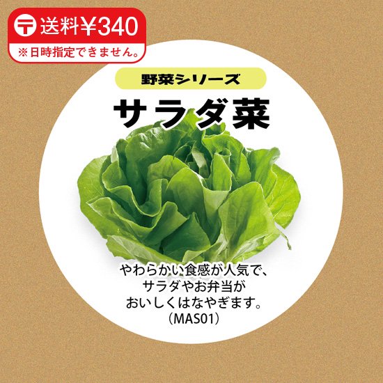 
                      
                        サラダ菜の種子 スポンジ・液体肥料付き MAS01【梱包60サイズ】
                      
                    