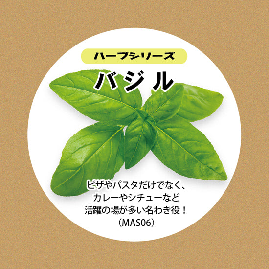 バジルの種子 スポンジ・液体肥料付き MAS06｜水耕栽培用種子セット