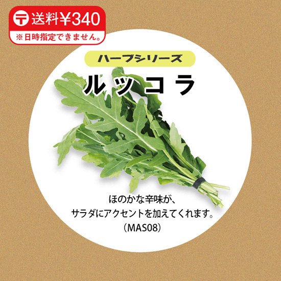
                      
                        ルッコラの種子 スポンジ・液体肥料付き MAS08【梱包60サイズ】
                      
                    