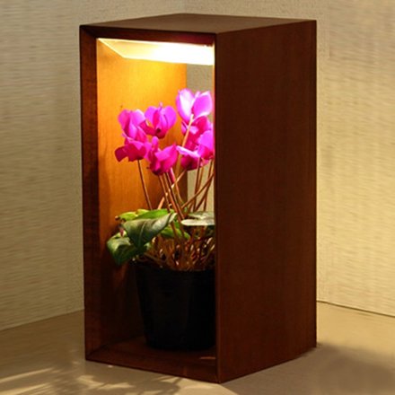 
                      
                        苔玉や蘭にぴったりな木製のLED植物育成ライト(大)Akarina10 MAI10 【梱包100サイズ】
                      
                    