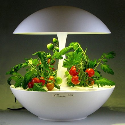 Akarina01 OMA01 | 灯菜 LED水耕栽培器 | おしゃれなインテリア照明店