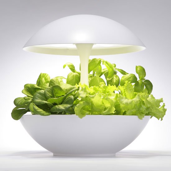 【新品未開封】灯菜  Akarina15  LED照明  水耕栽培器