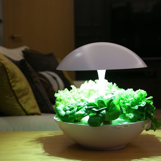 Akarina01 OMA01 | 灯菜 LED水耕栽培器 | おしゃれなインテリア照明店 