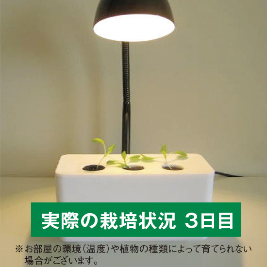 木と金属のツートン LEDテーブルランプ 【梱包80サイズ】