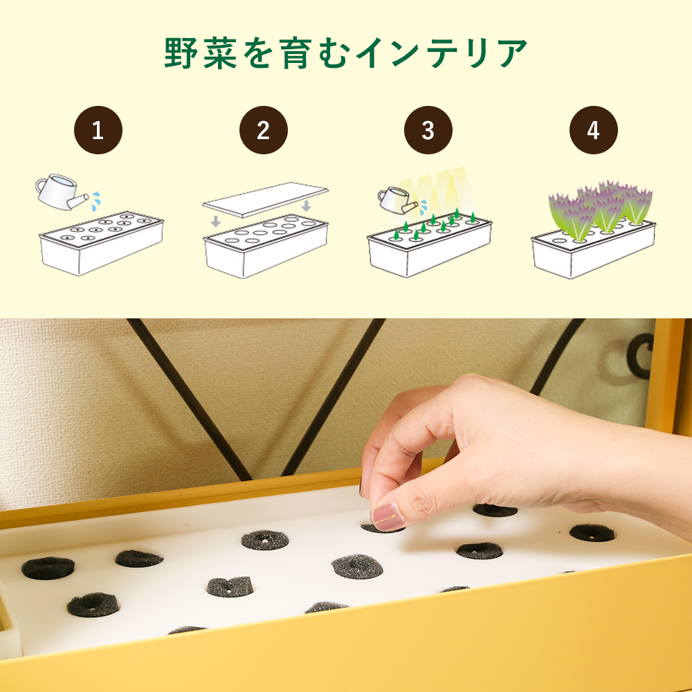 
                      
                        おうち時間をハーブや葉物野菜の水耕栽培で楽しむキット Akarina05 OMA05【梱包120サイズ】
                      
                    