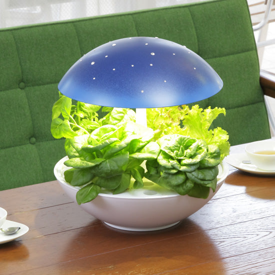 宇宙をイメージした青キラの水耕栽培キット 【梱包120サイズ】
