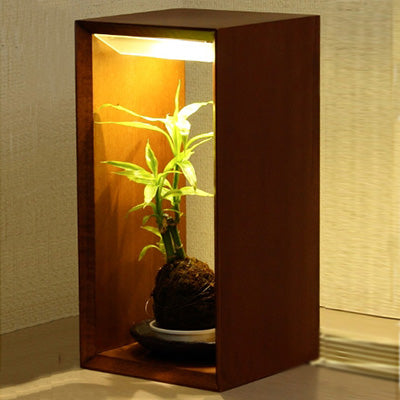 苔玉や蘭にぴったりな木製のLED植物育成ライト(大)Akarina10 MAI10 【梱包100サイズ】