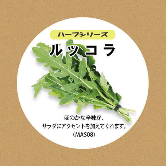 
                      
                        ルッコラの種子 スポンジ・液体肥料付き MAS08【梱包60サイズ】
                      
                    