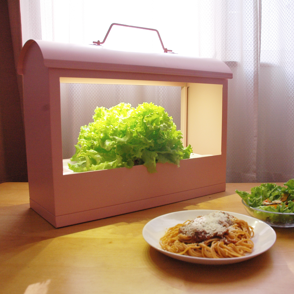 
                      
                        おうち時間をハーブや葉物野菜の水耕栽培で楽しむキット Akarina05 OMA05【梱包120サイズ】
                      
                    