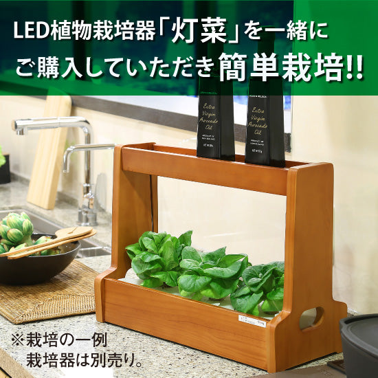 
                      
                        サラダ菜の種子 スポンジ・液体肥料付き MAS01【梱包60サイズ】
                      
                    