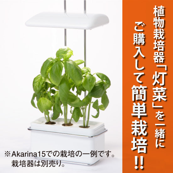 バジルの種子 スポンジ・液体肥料付き MAS06｜水耕栽培用種子セット