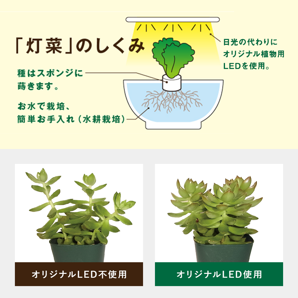 
                      
                        おうち時間をハーブや葉物野菜の水耕栽培で楽しむキット Akarina05 OMA05【梱包120サイズ】
                      
                    