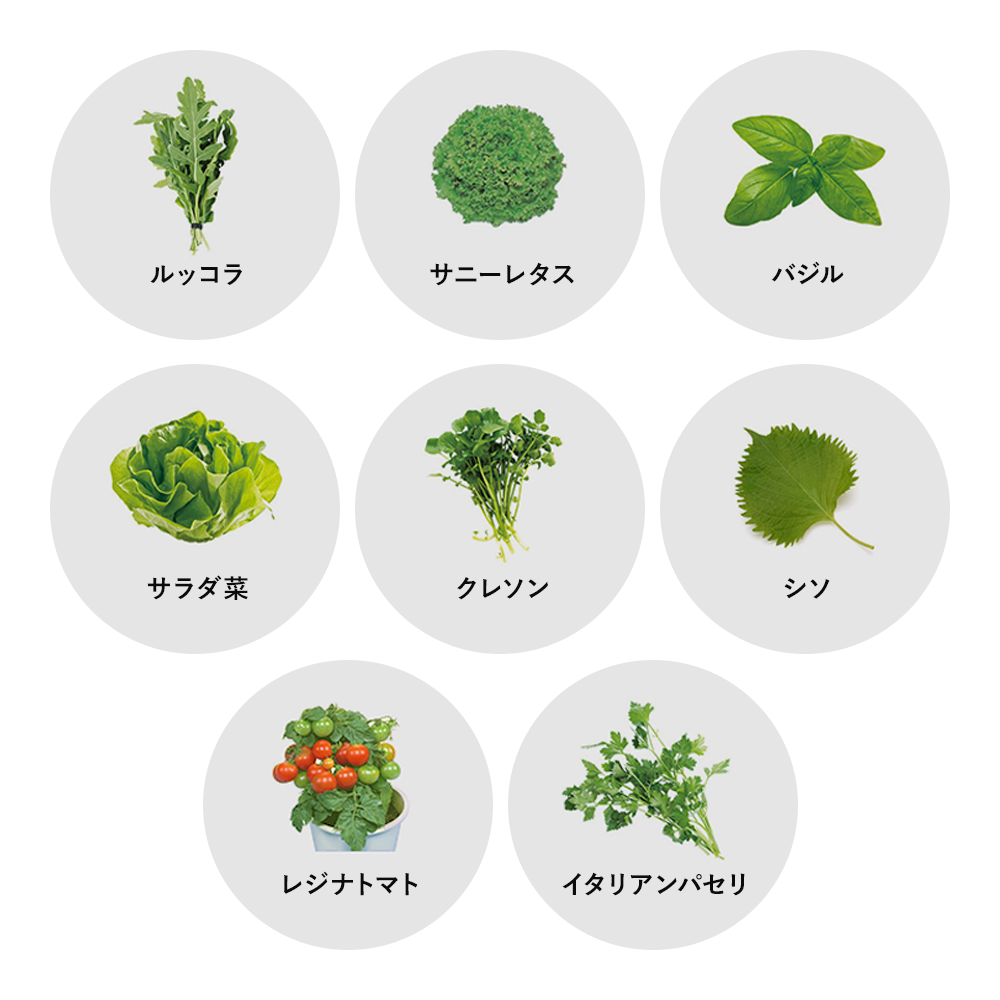 
                      
                        おうち時間をハーブや葉物野菜の水耕栽培で楽しむキット Akarina05 OMA05【梱包120サイズ】
                      
                    